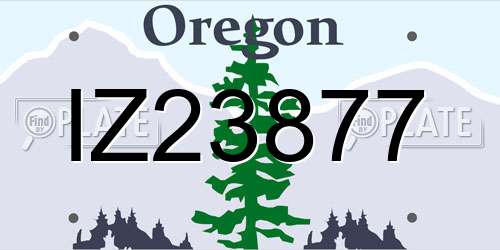 IZ23877 Oregon License Plate