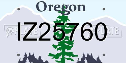 IZ25760 Oregon License Plate