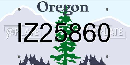 IZ25860 Oregon License Plate