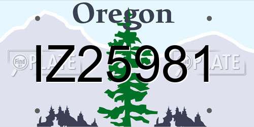 IZ25981 Oregon License Plate