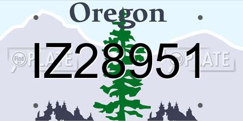 IZ28951 Oregon License Plate