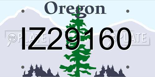 IZ29160 Oregon License Plate