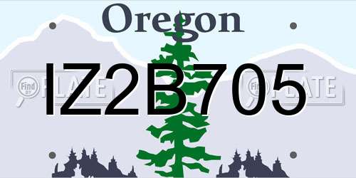 IZ2B705 Oregon License Plate