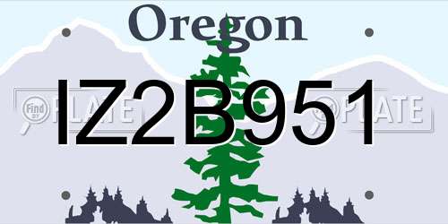 IZ2B951 Oregon License Plate