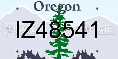 IZ48541 Oregon License Plate