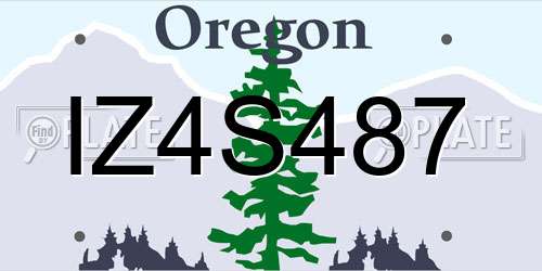 IZ4S487 Oregon License Plate