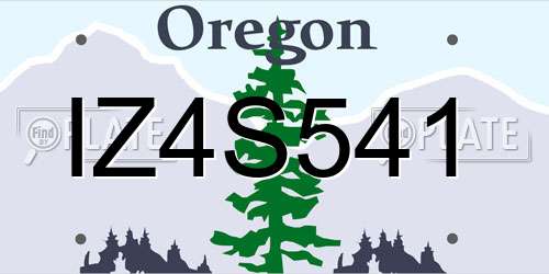 IZ4S541 Oregon License Plate