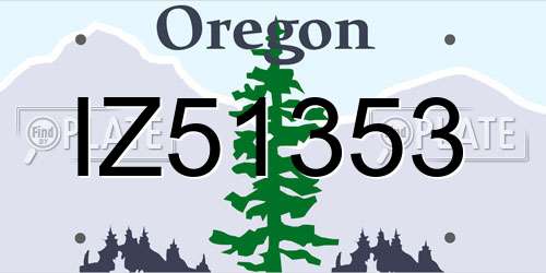 IZ51353 Oregon License Plate