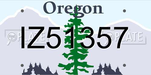 IZ51357 Oregon License Plate