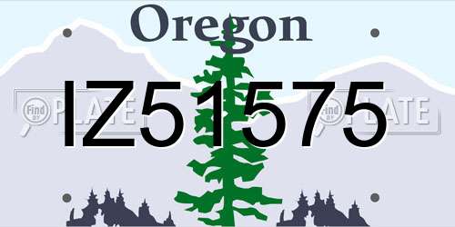 IZ51575 Oregon License Plate
