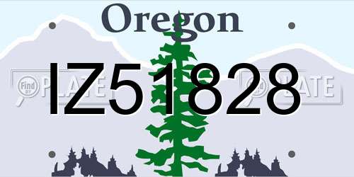 IZ51828 Oregon License Plate