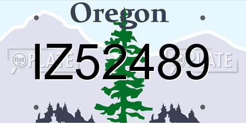 IZ52489 Oregon License Plate