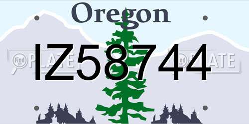 IZ58744 Oregon License Plate