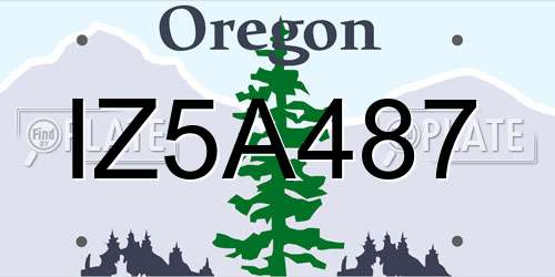 IZ5A487 Oregon License Plate