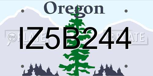 IZ5B244 Oregon License Plate