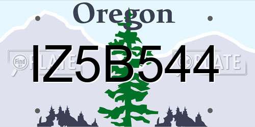 IZ5B544 Oregon License Plate