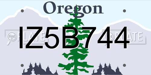 IZ5B744 Oregon License Plate
