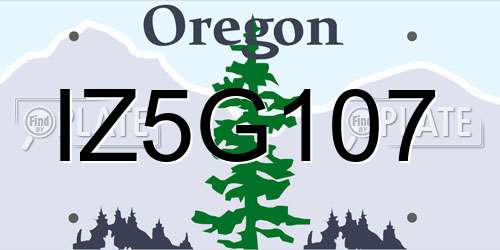 IZ5G107 Oregon License Plate