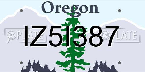 IZ5I387 Oregon License Plate