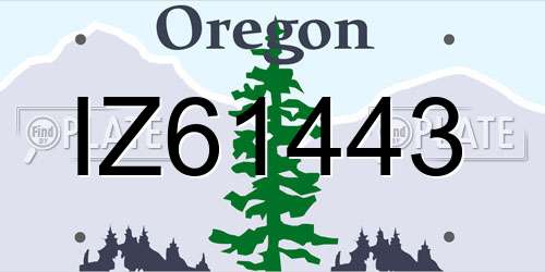 IZ61443 Oregon License Plate