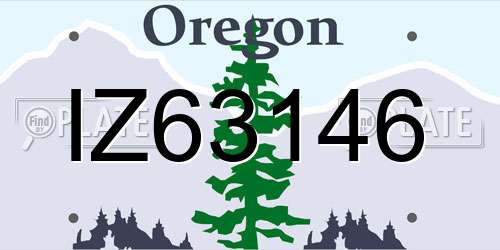IZ63146 Oregon License Plate