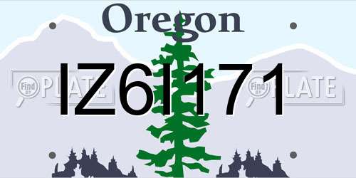 IZ6I171 Oregon License Plate