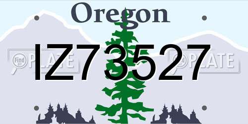IZ73527 Oregon License Plate