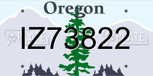 IZ73822 Oregon License Plate