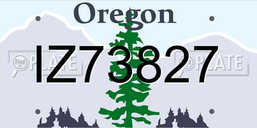 IZ73827 Oregon License Plate