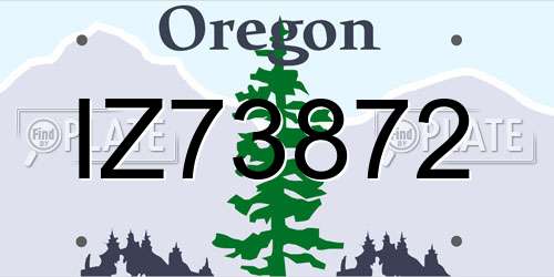 IZ73872 Oregon License Plate