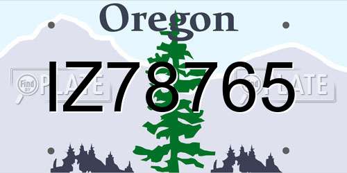 IZ78765 Oregon License Plate