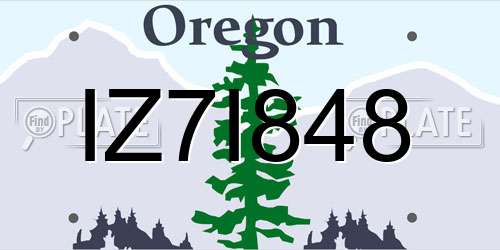 IZ7I848 Oregon License Plate