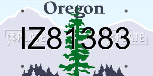 IZ81383 Oregon License Plate