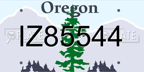 IZ85544 Oregon License Plate