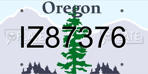 IZ87376 Oregon License Plate