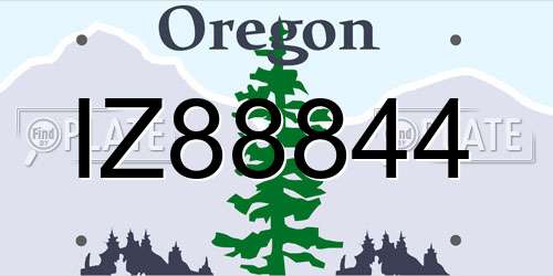 IZ88844 Oregon License Plate