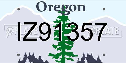 IZ91357 Oregon License Plate