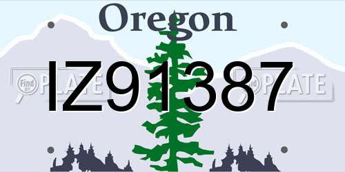 IZ91387 Oregon License Plate