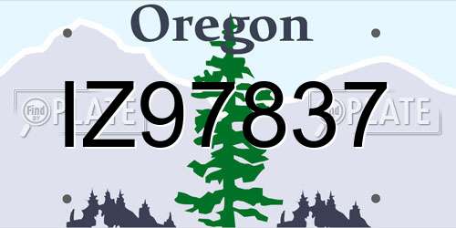 IZ97837 Oregon License Plate