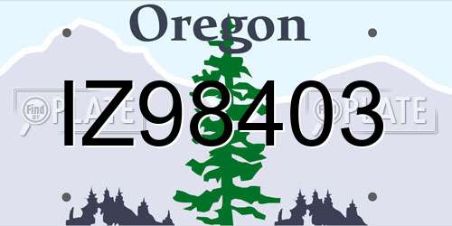 IZ98403 Oregon License Plate