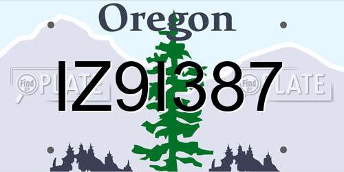 IZ9I387 Oregon License Plate