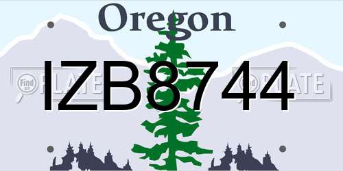 IZB8744 Oregon License Plate