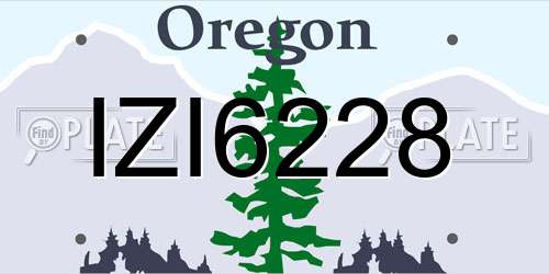 IZI6228 Oregon License Plate