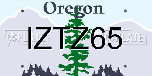 IZTZ65 Oregon License Plate