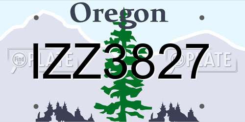 IZZ3827 Oregon License Plate