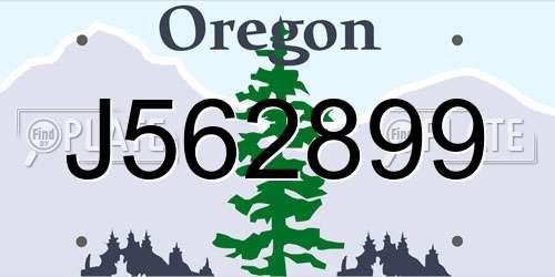 J562899 Oregon License Plate