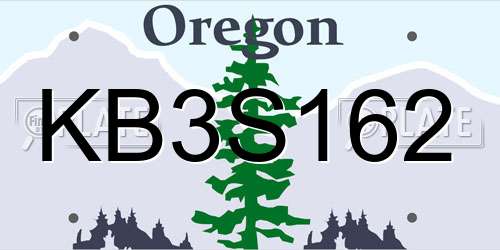 KB3S162 Oregon License Plate
