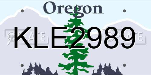 KLE2989 Oregon License Plate