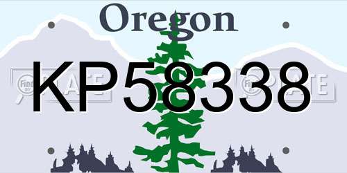 KP58338 Oregon License Plate