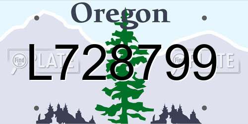 L728799 Oregon License Plate